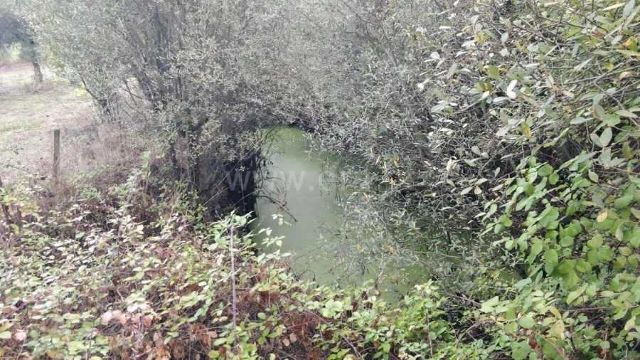 Terreno para Venda em Póvoa de Atalaia e Atalaia do Campo Foto 12