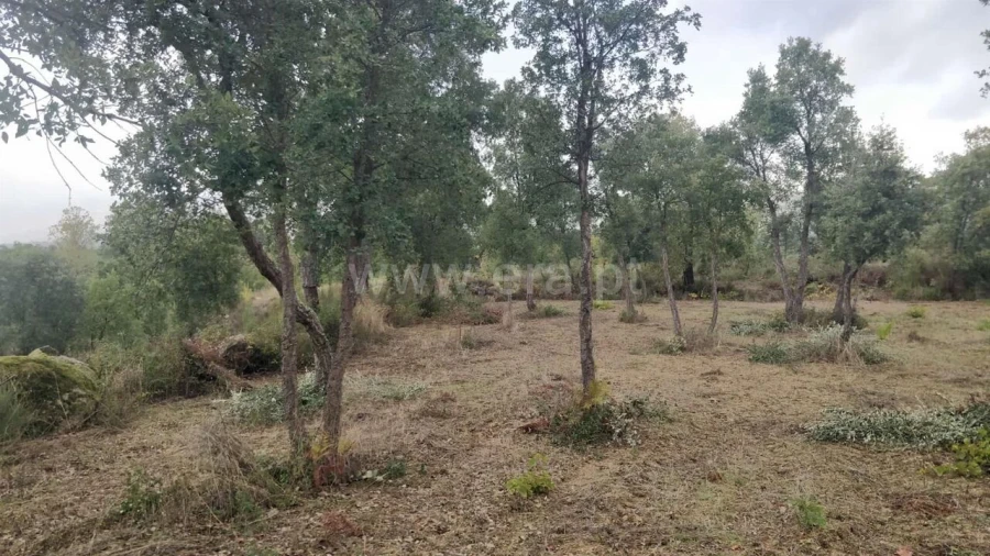 Terreno para Venda em Póvoa de Atalaia e Atalaia do Campo Foto 6