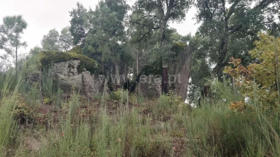Terreno para Venda em Póvoa de Atalaia e Atalaia do Campo Foto 15