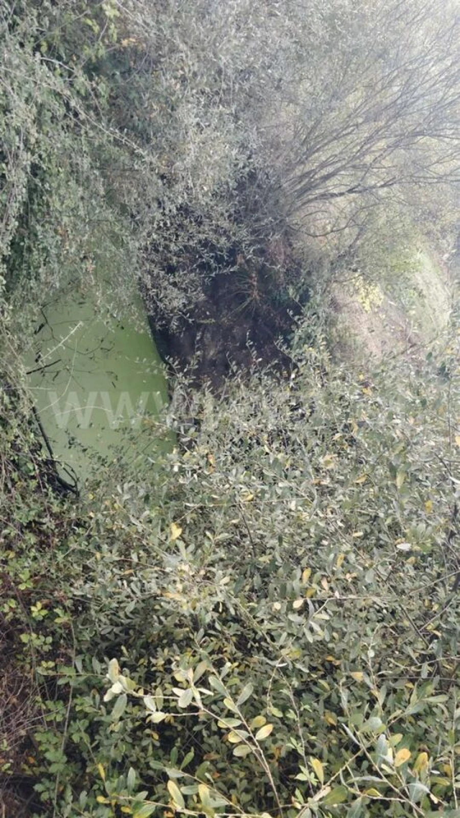 Terreno para Venda em Póvoa de Atalaia e Atalaia do Campo Foto 8