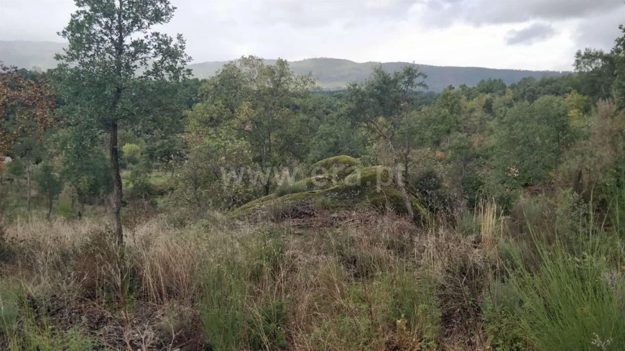 Terreno para Venda em Póvoa de Atalaia e Atalaia do Campo Foto 20