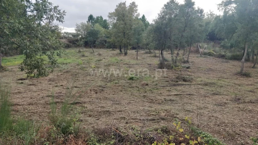 Terreno para Venda em Póvoa de Atalaia e Atalaia do Campo Foto 7