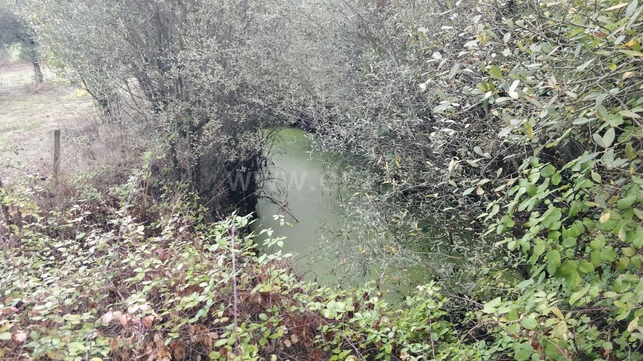 Terreno para Venda em Póvoa de Atalaia e Atalaia do Campo Foto 12