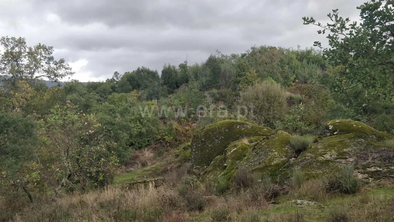 Terreno para Venda em Póvoa de Atalaia e Atalaia do Campo Foto 17