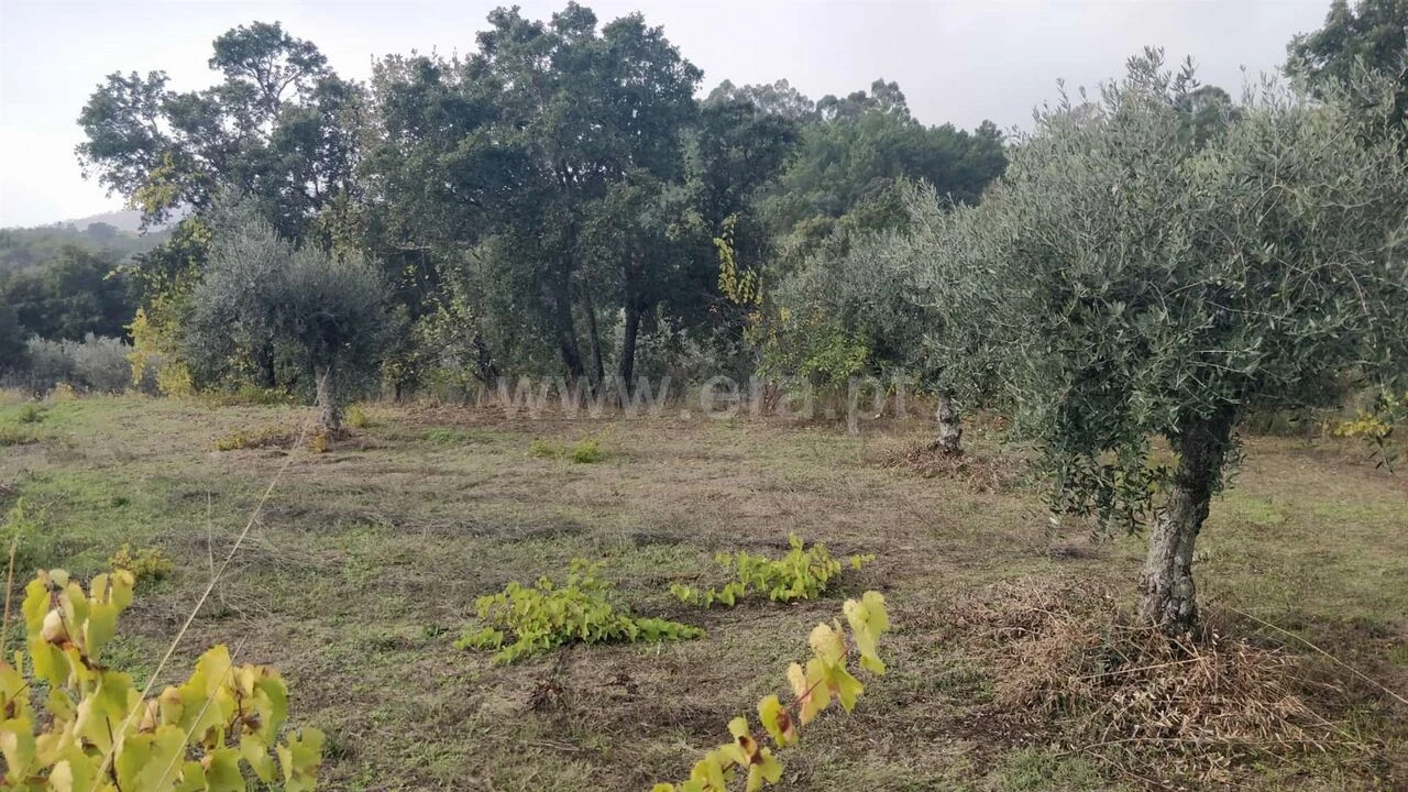 Terreno para Venda em Póvoa de Atalaia e Atalaia do Campo Foto 11