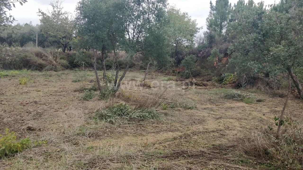 Terreno para Venda em Póvoa de Atalaia e Atalaia do Campo Foto 3