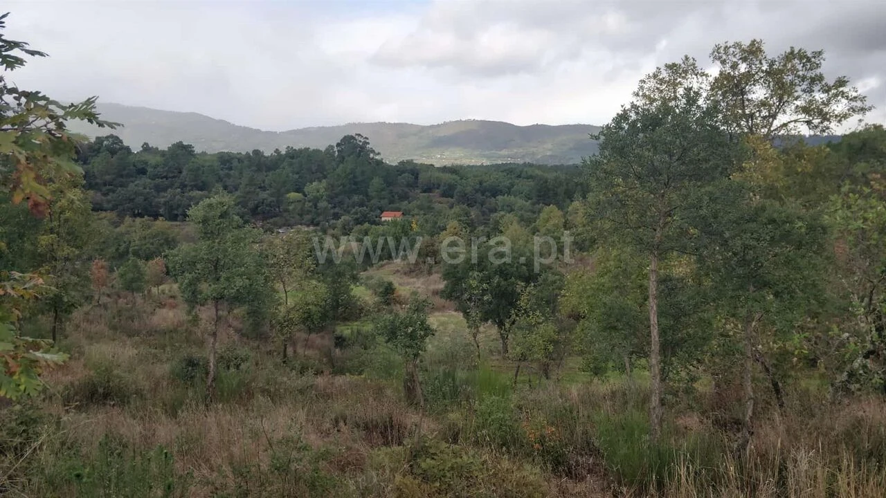 Terreno para Venda em Póvoa de Atalaia e Atalaia do Campo Foto 16