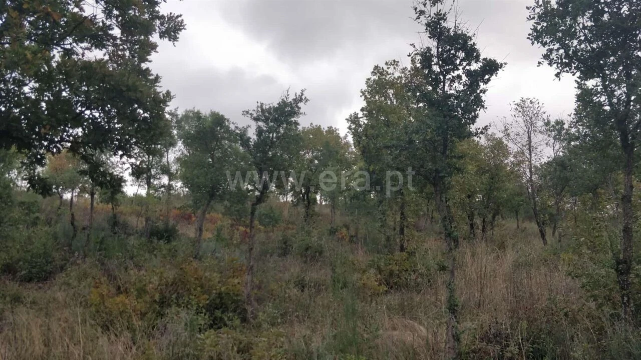 Terreno para Venda em Póvoa de Atalaia e Atalaia do Campo Foto 10