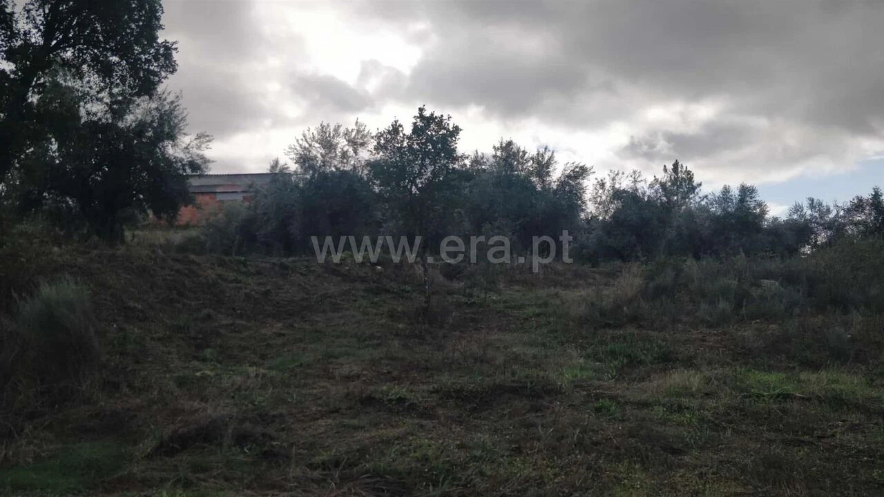 Terreno para Venda em Póvoa de Atalaia e Atalaia do Campo Foto 4