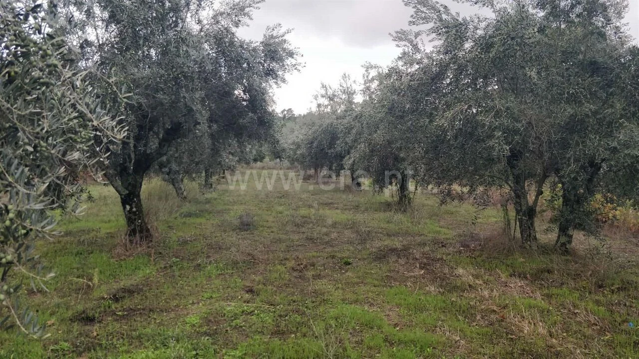 Terreno para Venda em Póvoa de Atalaia e Atalaia do Campo Foto 18