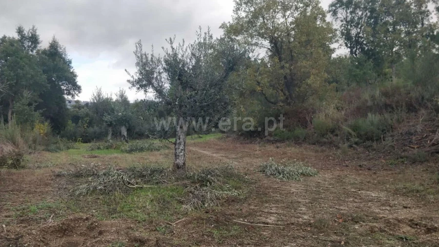 Terreno para Venda em Póvoa de Atalaia e Atalaia do Campo