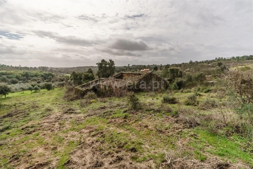 Quinta T1 para Venda em Vale de Prazeres e Mata da Rainha Foto 5