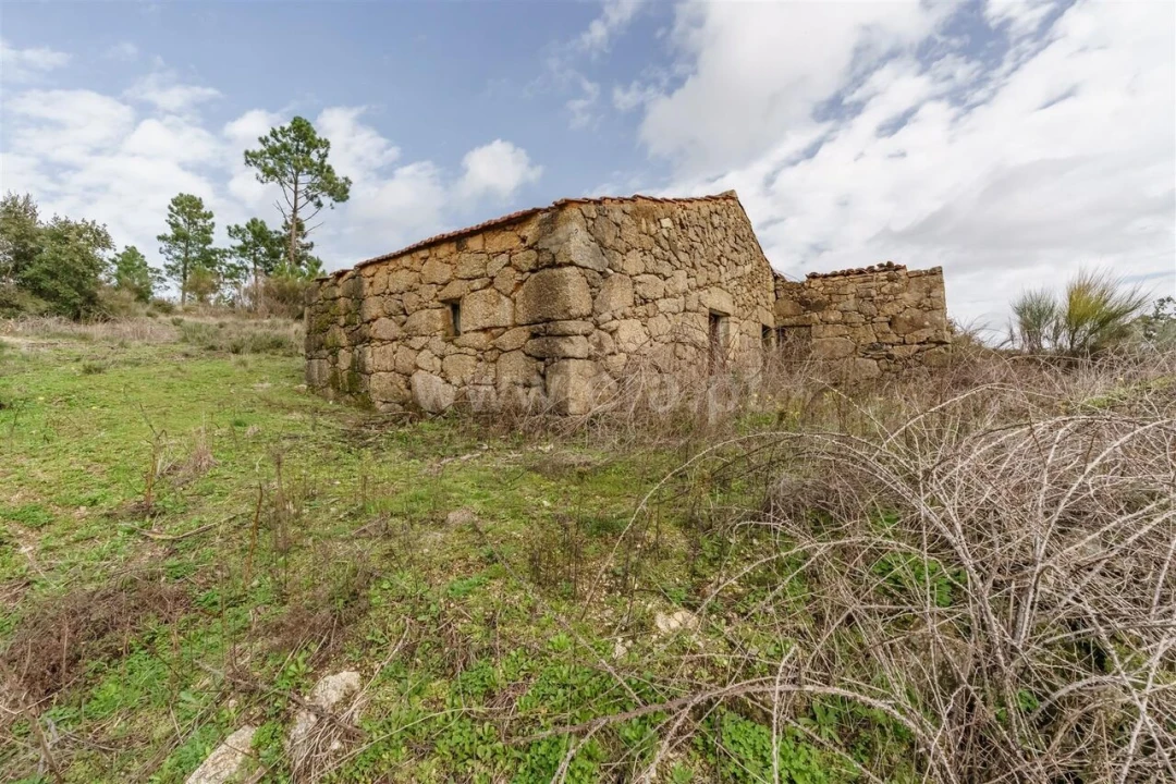 Quinta T1 para Venda em Vale de Prazeres e Mata da Rainha Foto 1