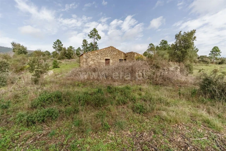 Quinta T1 para Venda em Vale de Prazeres e Mata da Rainha Foto 6
