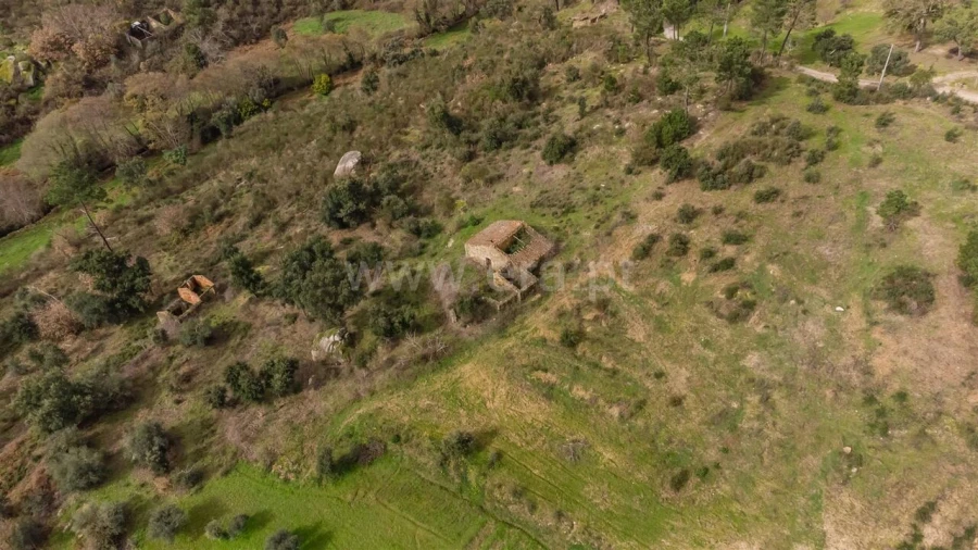Quinta T1 para Venda em Vale de Prazeres e Mata da Rainha Foto 3