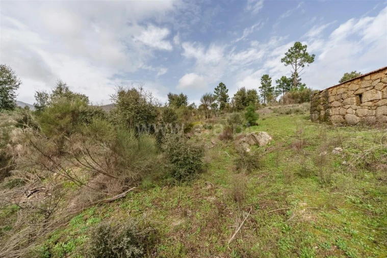 Quinta T1 para Venda em Vale de Prazeres e Mata da Rainha Foto 10