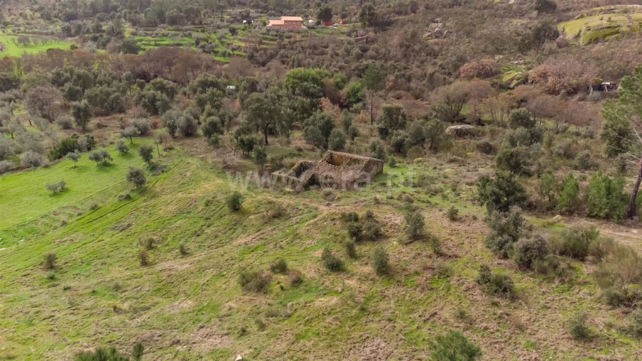 Quinta T1 para Venda em Vale de Prazeres e Mata da Rainha Foto 2