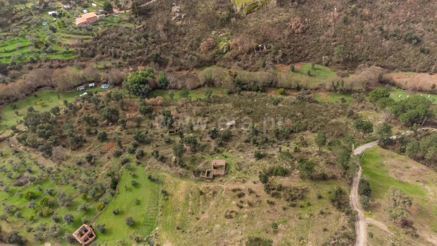 Quinta T1 para Venda em Vale de Prazeres e Mata da Rainha Foto 4