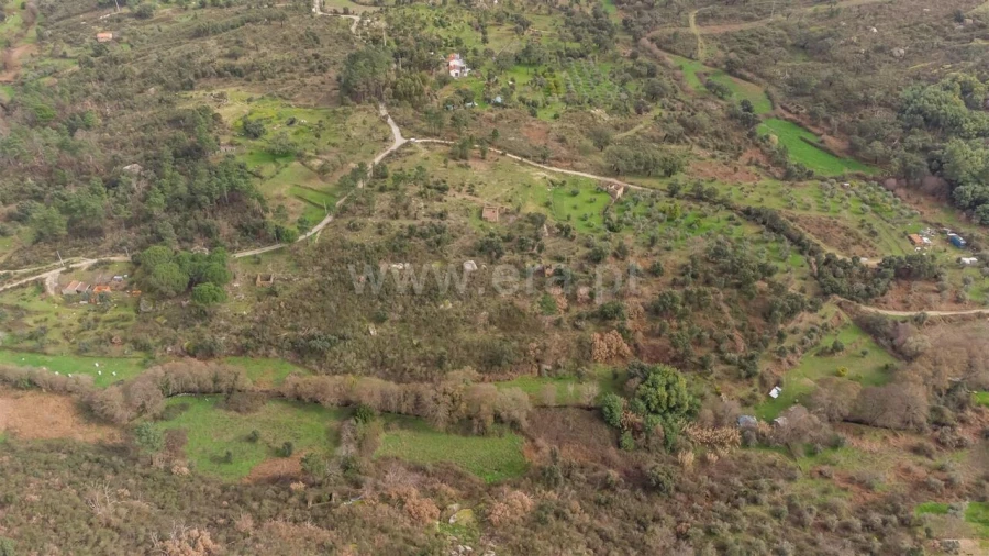 Quinta T1 para Venda em Vale de Prazeres e Mata da Rainha Foto 13