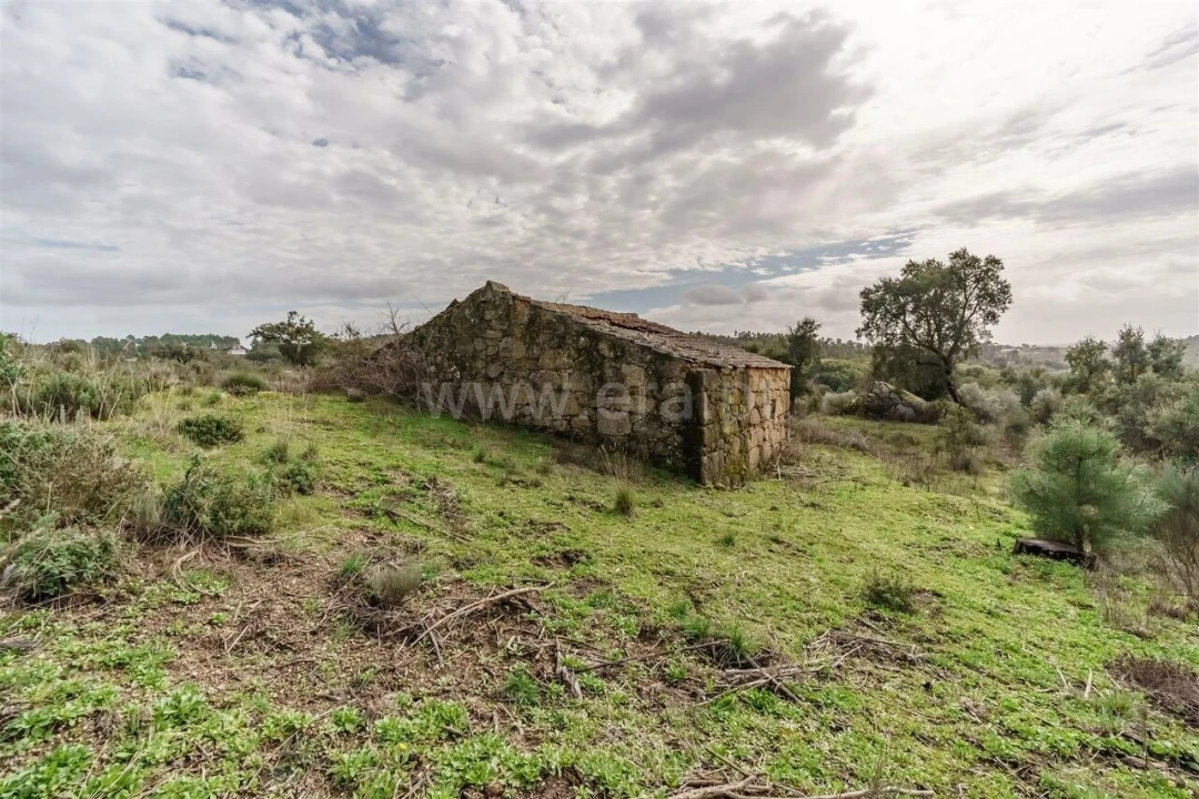 Quinta T1 para Venda em Vale de Prazeres e Mata da Rainha Foto 7
