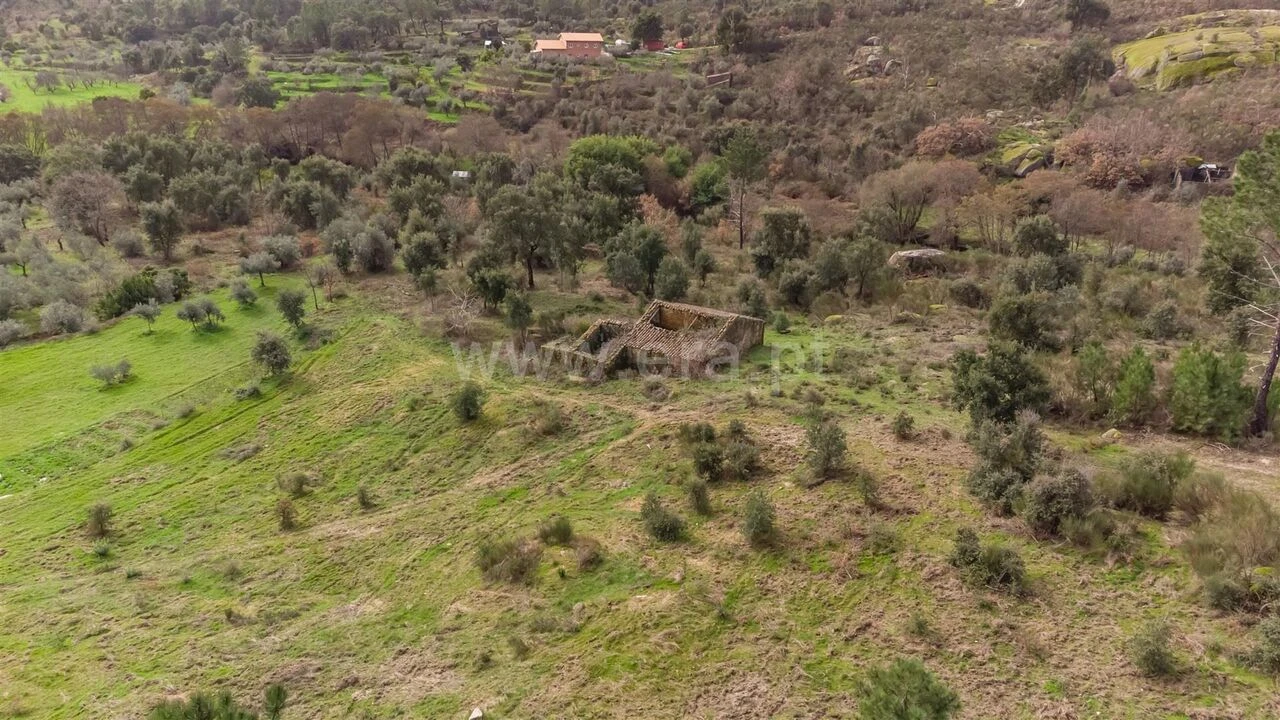 Quinta T1 para Venda em Vale de Prazeres e Mata da Rainha Foto 2