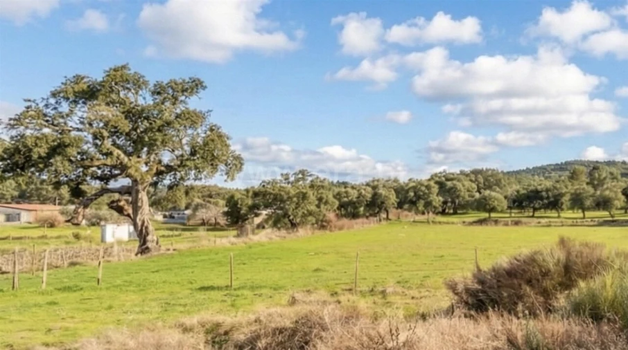 Quinta T1 para Venda em Vale de Prazeres e Mata da Rainha Foto 3