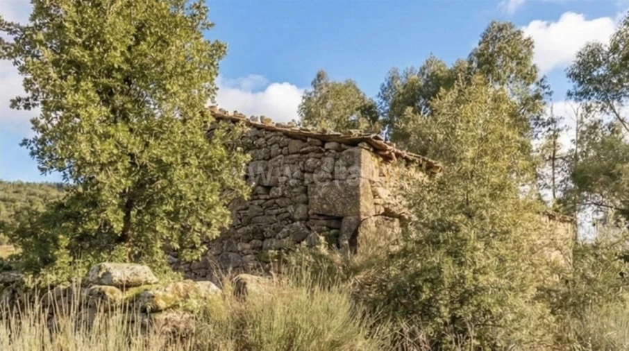 Quinta T1 para Venda em Vale de Prazeres e Mata da Rainha Foto 6