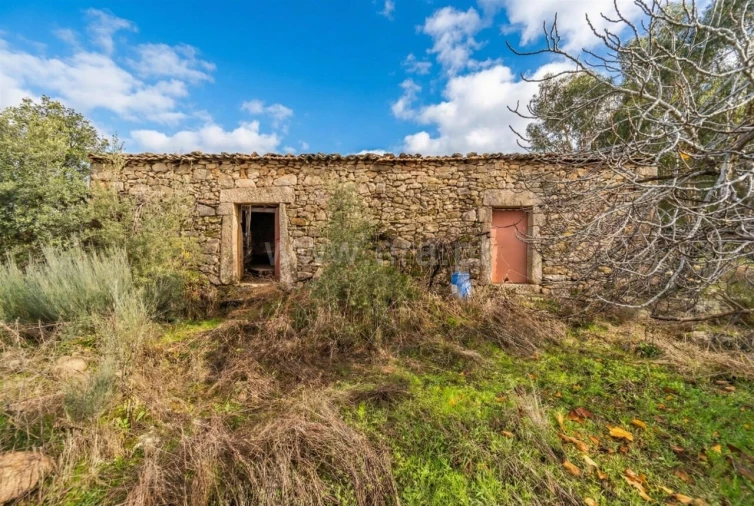 Quinta T1 para Venda em Vale de Prazeres e Mata da Rainha Foto 1