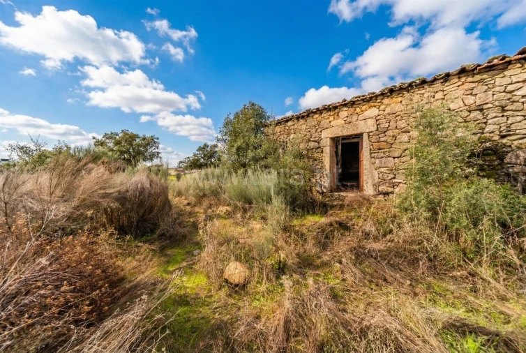 Quinta T1 para Venda em Vale de Prazeres e Mata da Rainha Foto 12