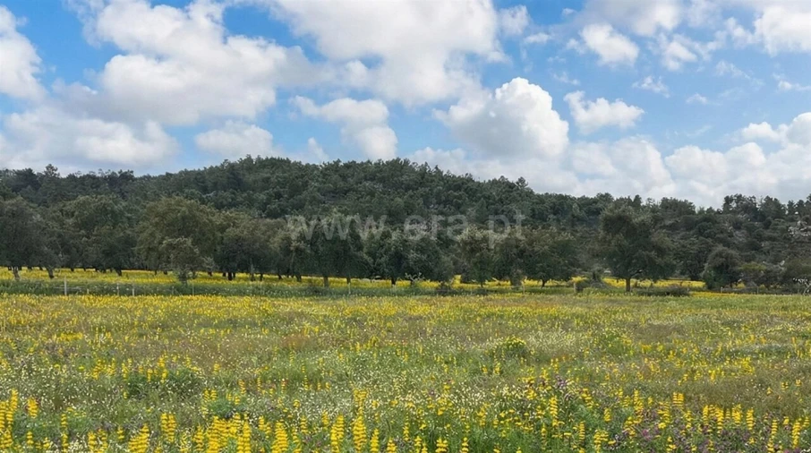 Quinta T1 para Venda em Vale de Prazeres e Mata da Rainha Foto 2