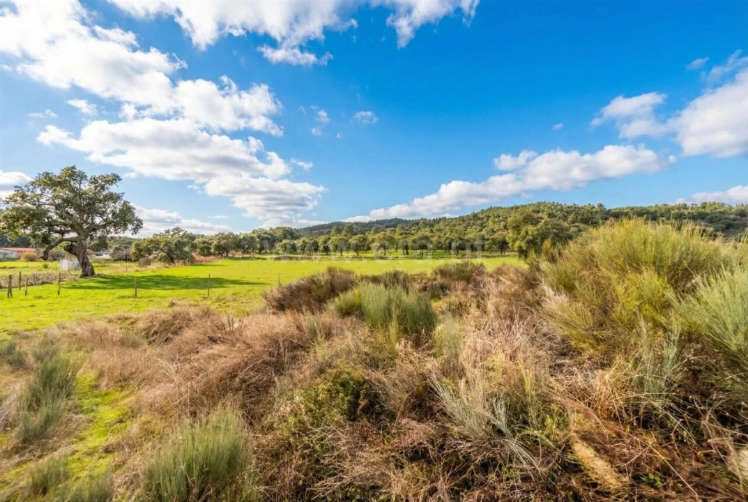 Quinta T1 para Venda em Vale de Prazeres e Mata da Rainha Foto 9