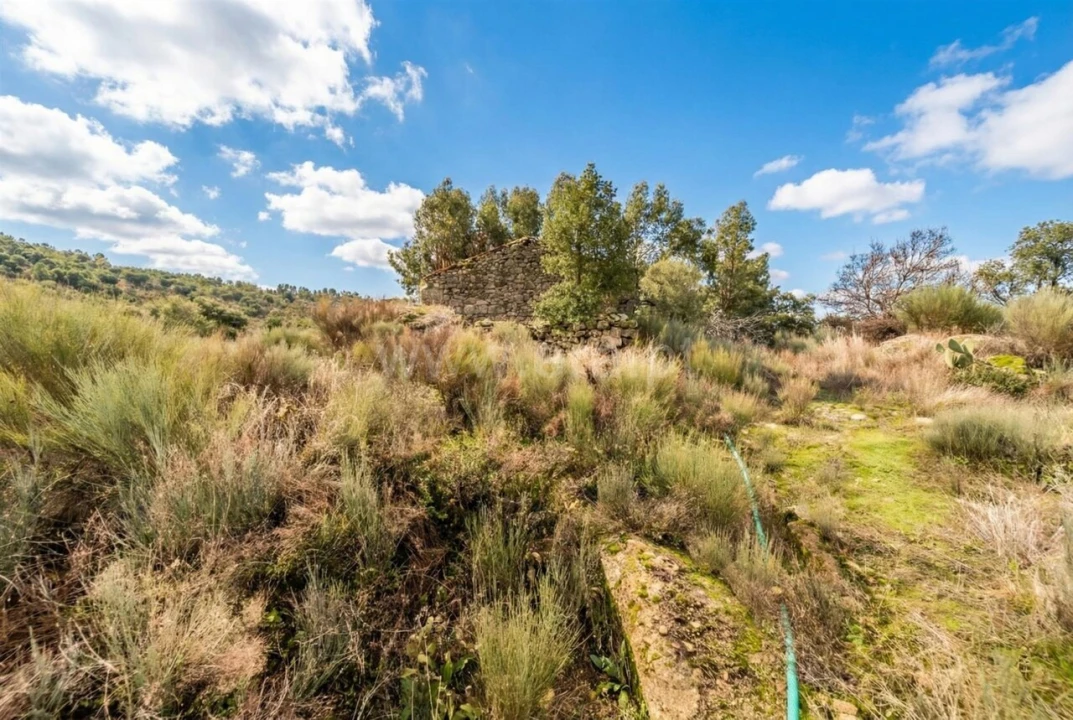 Quinta T1 para Venda em Vale de Prazeres e Mata da Rainha Foto 10