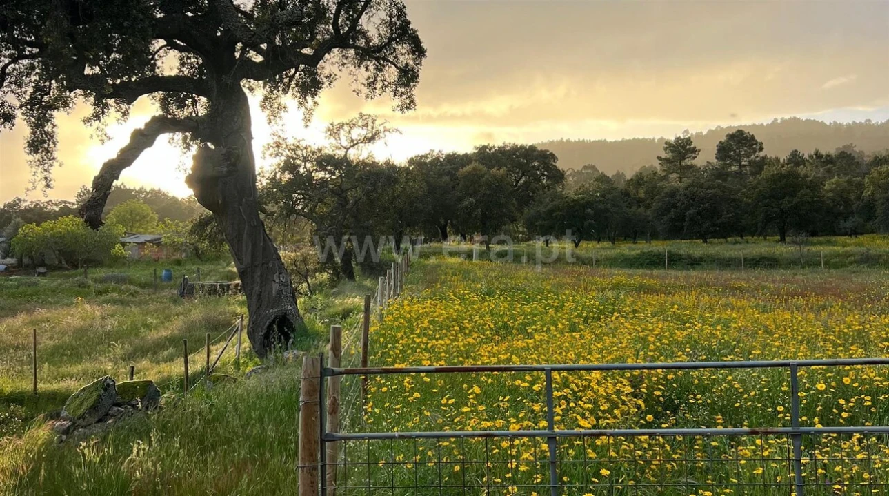 Quinta T1 para Venda em Vale de Prazeres e Mata da Rainha Foto 7