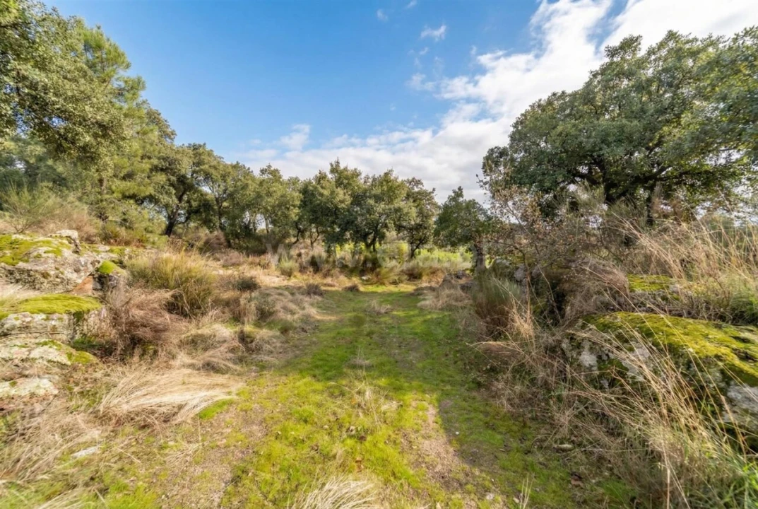 Quinta T1 para Venda em Vale de Prazeres e Mata da Rainha Foto 14