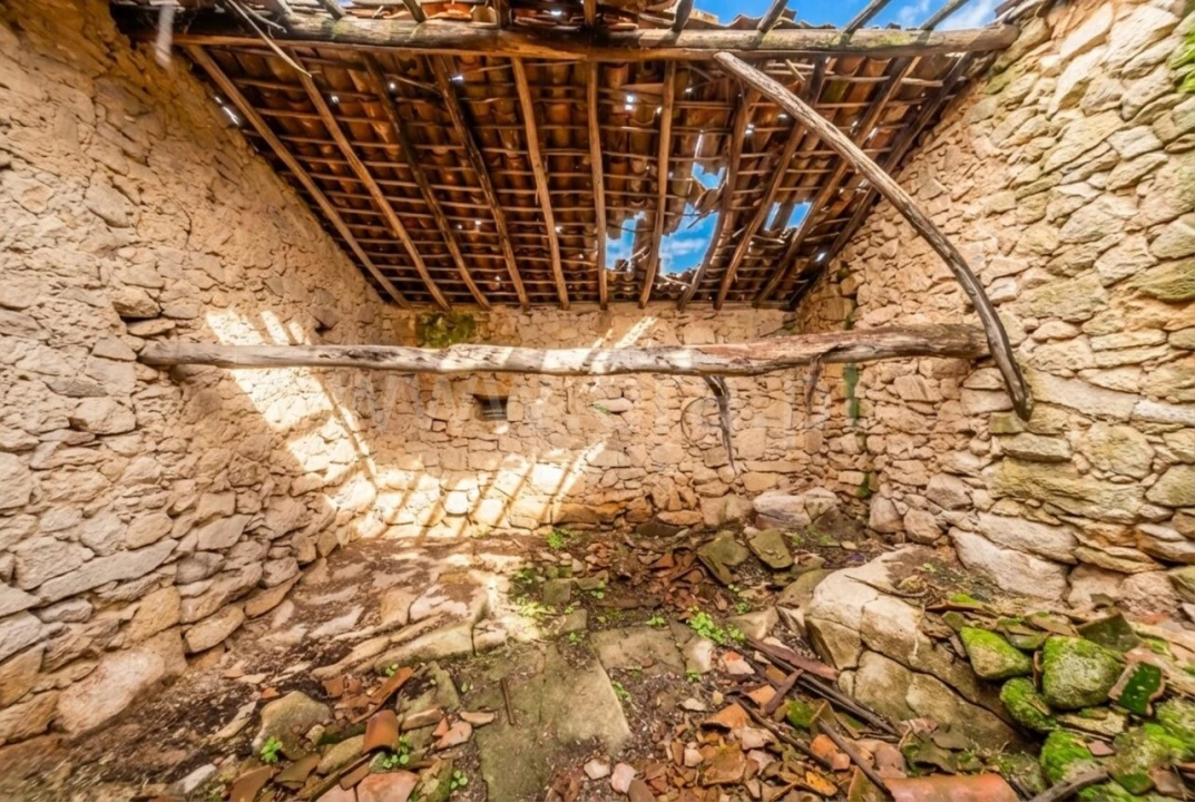 Quinta T1 para Venda em Vale de Prazeres e Mata da Rainha Foto 18