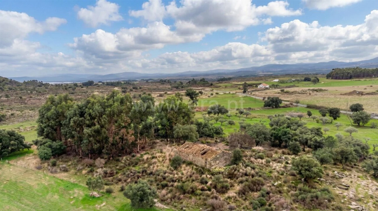 Quinta T1 para Venda em Vale de Prazeres e Mata da Rainha Foto 8