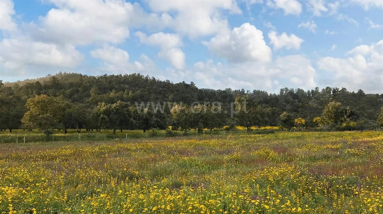 Quinta T1 para Venda em Vale de Prazeres e Mata da Rainha Foto 5