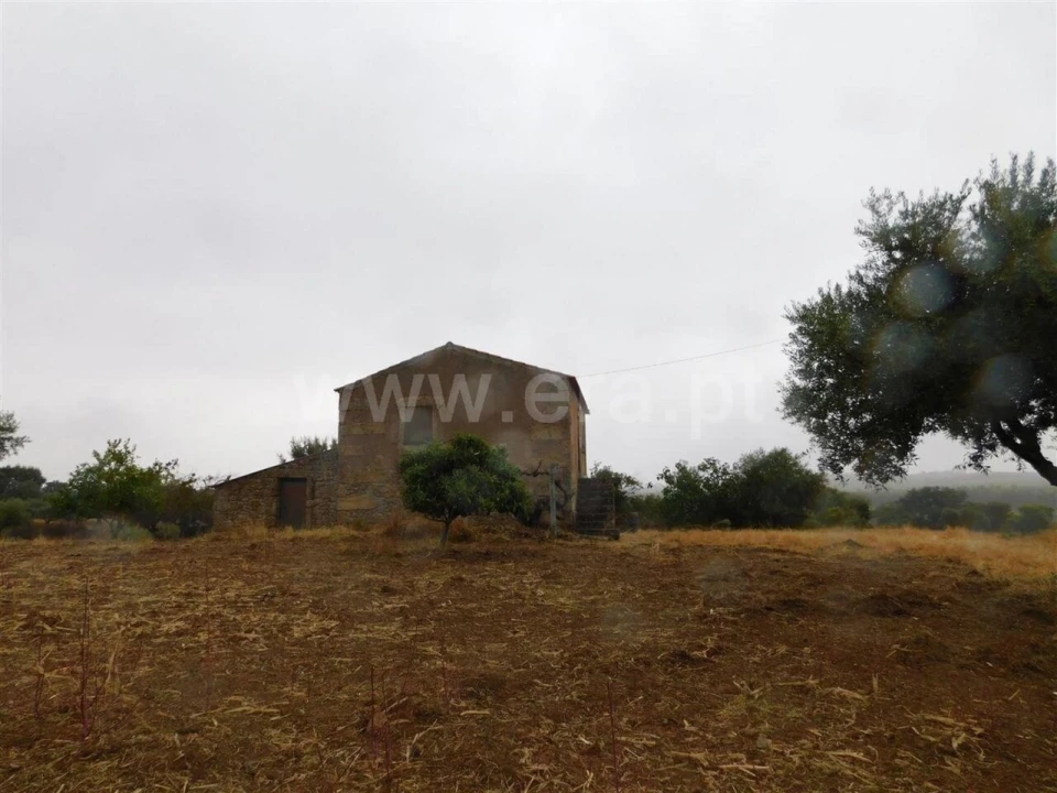 Quinta T1 para Venda em Vale de Prazeres e Mata da Rainha Foto 2