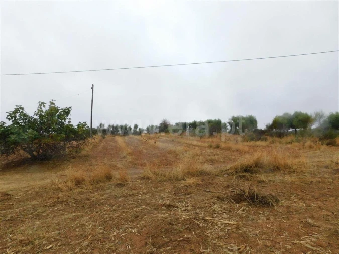 Quinta T1 para Venda em Vale de Prazeres e Mata da Rainha Foto 15