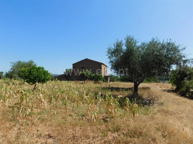 Quinta T1 para Venda em Vale de Prazeres e Mata da Rainha Foto 16