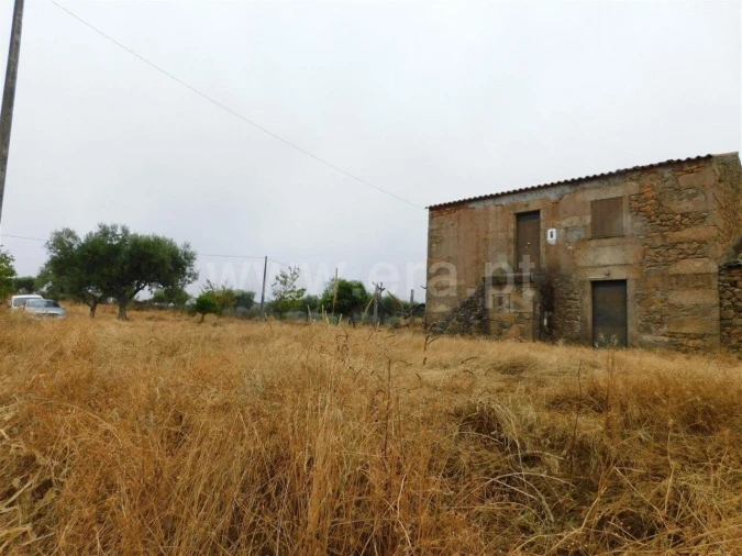 Quinta T1 para Venda em Vale de Prazeres e Mata da Rainha Foto 8