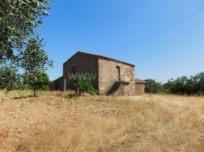 Quinta T1 para Venda em Vale de Prazeres e Mata da Rainha Foto 1