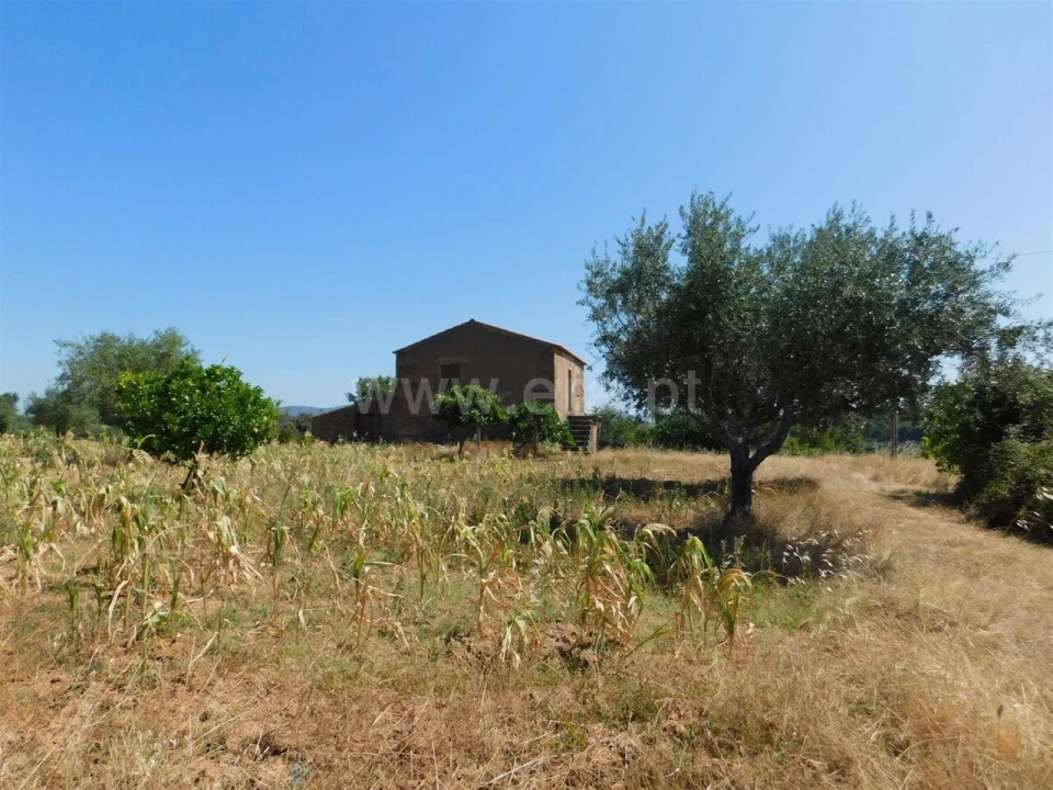 Quinta T1 para Venda em Vale de Prazeres e Mata da Rainha Foto 16
