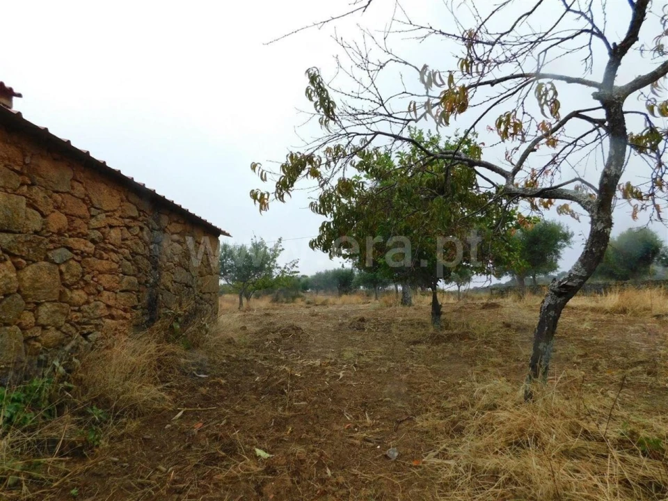 Quinta T1 para Venda em Vale de Prazeres e Mata da Rainha Foto 13