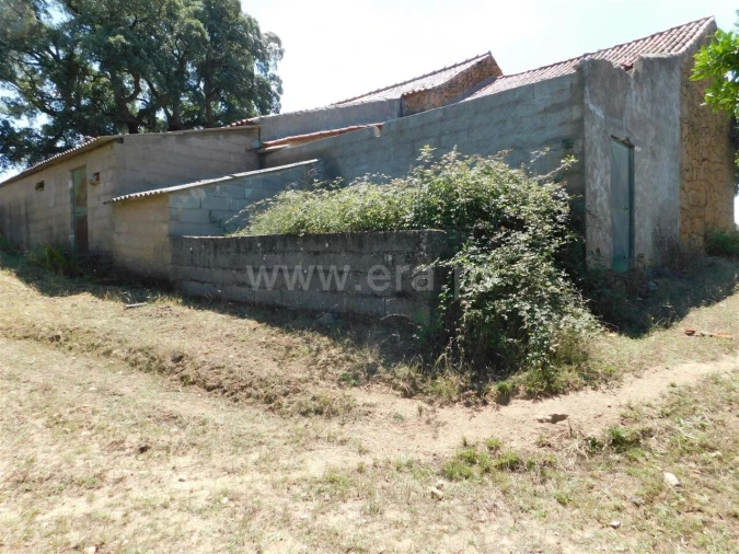 Quinta T2 para Venda em Vale de Prazeres e Mata da Rainha Foto 15