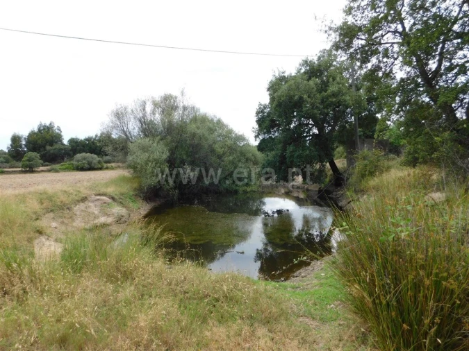 Quinta T2 para Venda em Vale de Prazeres e Mata da Rainha Foto 19