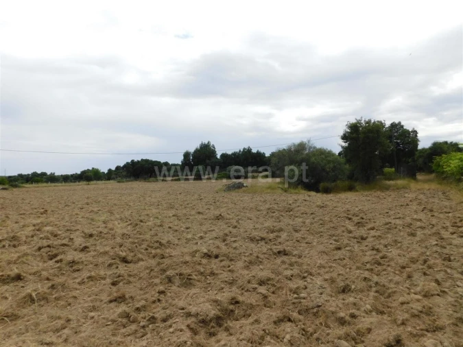 Quinta T2 para Venda em Vale de Prazeres e Mata da Rainha Foto 18