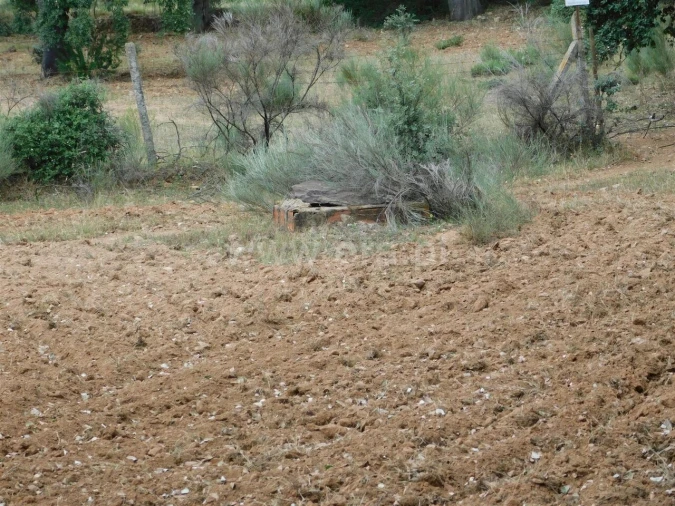 Quinta T2 para Venda em Vale de Prazeres e Mata da Rainha Foto 17