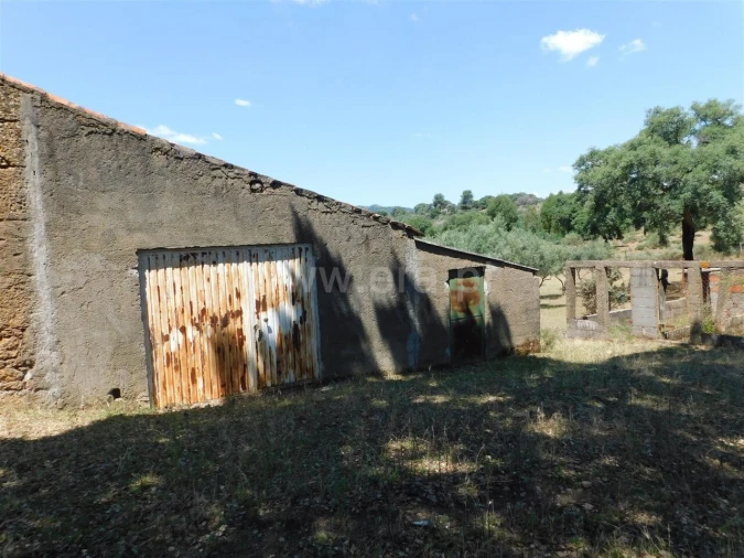 Quinta T2 para Venda em Vale de Prazeres e Mata da Rainha Foto 14