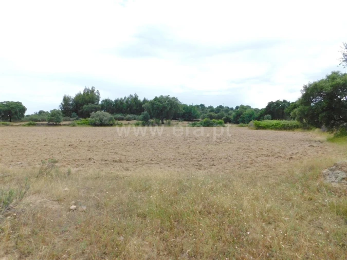 Quinta T2 para Venda em Vale de Prazeres e Mata da Rainha Foto 20